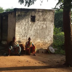 widow's project