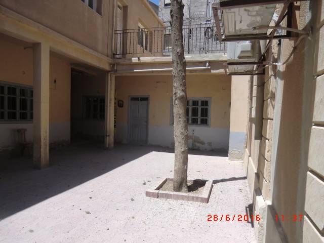 foto syria 3